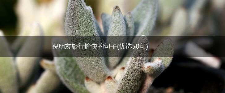 祝朋友旅行愉快的句子(优选50句),第1张