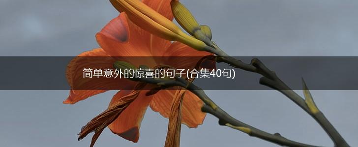 简单意外的惊喜的句子(合集40句),第1张