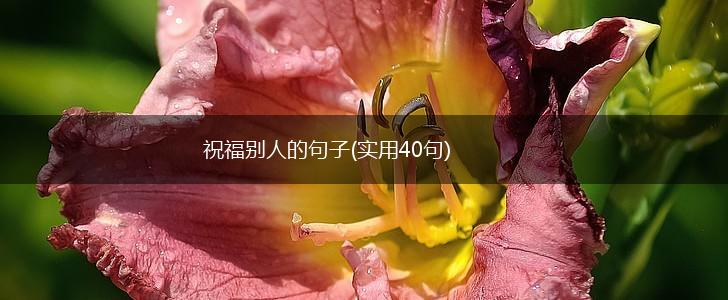 祝福别人的句子(实用40句),第1张