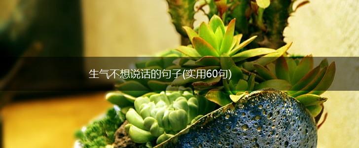 生气不想说话的句子(实用60句),第1张