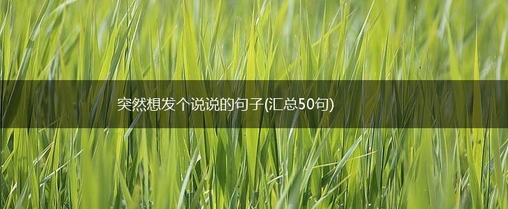 突然想发个说说的句子(汇总50句),第1张
