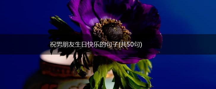 祝男朋友生日快乐的句子(共50句),第1张