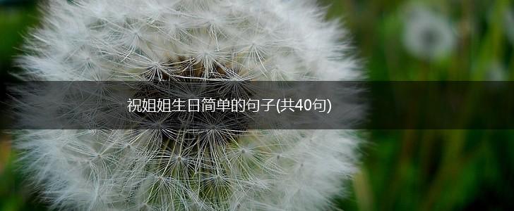 祝姐姐生日简单的句子(共40句),第1张
