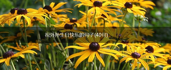 祝外孙生日快乐的句子(40句),第1张