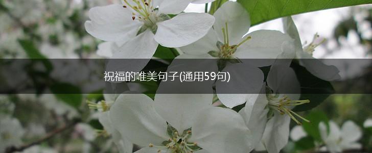 祝福的唯美句子(通用59句),第1张