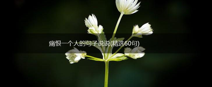 痛恨一个人的句子说说(精选60句),第1张