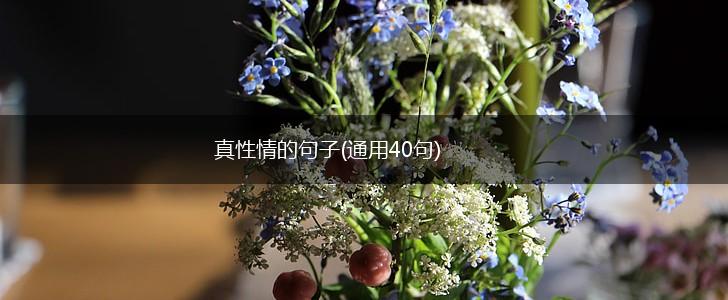 真性情的句子(通用40句),第1张