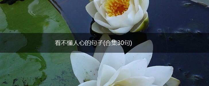 看不懂人心的句子(合集30句),第1张