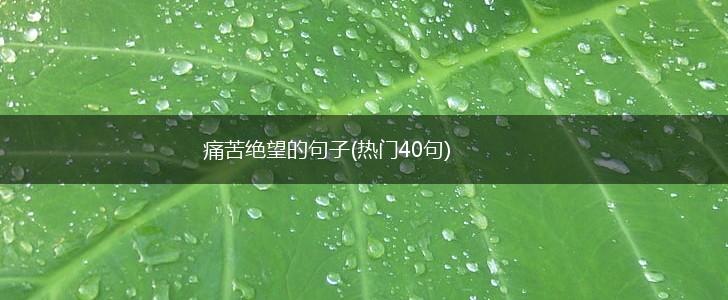 痛苦绝望的句子(热门40句),第1张