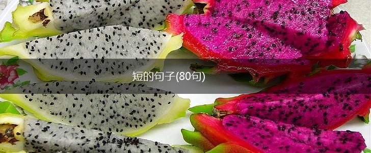 短的句子(80句),第1张