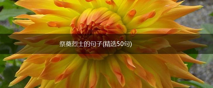 祭奠烈士的句子(精选50句),第1张