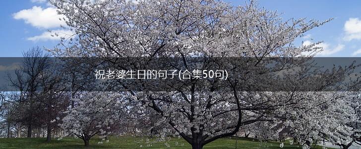 祝老婆生日的句子(合集50句),第1张