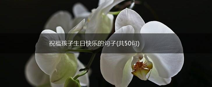 祝福孩子生日快乐的句子(共50句),第1张