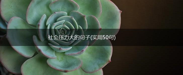 社会压力大的句子(实用50句),第1张