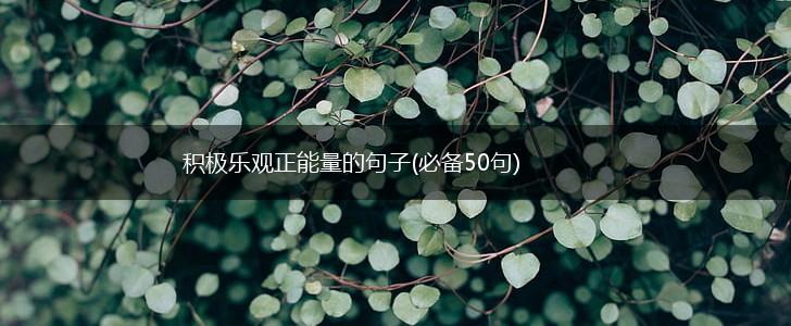 积极乐观正能量的句子(必备50句),第1张