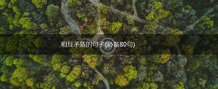 相互矛盾的句子(必备80句),第1张
