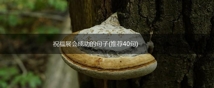 祝福展会成功的句子(推荐40句),第1张
