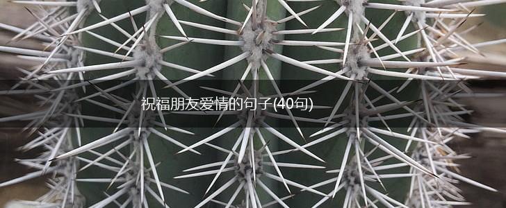 祝福朋友爱情的句子(40句),第1张