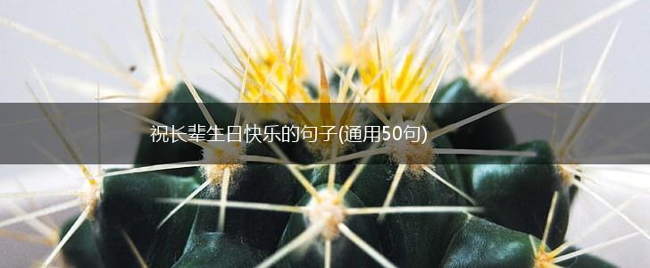 祝长辈生日快乐的句子(通用50句),第1张