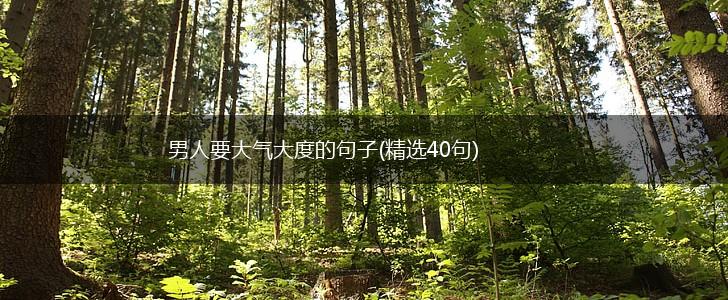 男人要大气大度的句子(精选40句),第1张