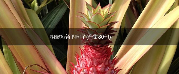 相聚短暂的句子(合集80句),第1张