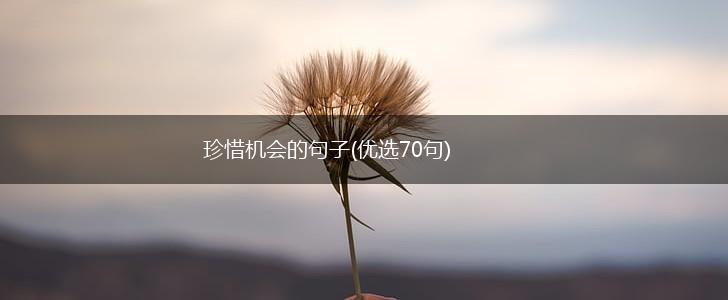 珍惜机会的句子(优选70句),第1张