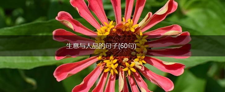 生意与人品的句子(60句),第1张
