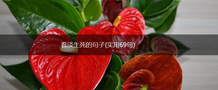 看淡生死的句子(实用69句),第1张