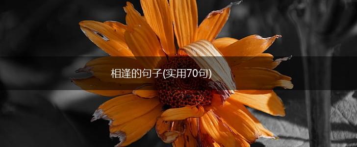 相逢的句子(实用70句),第1张