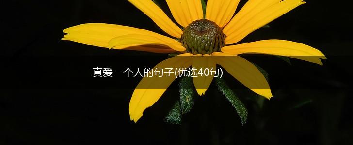 真爱一个人的句子(优选40句),第1张