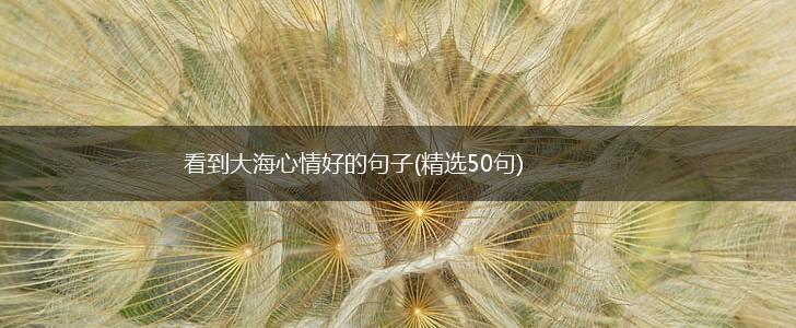 看到大海心情好的句子(精选50句),第1张
