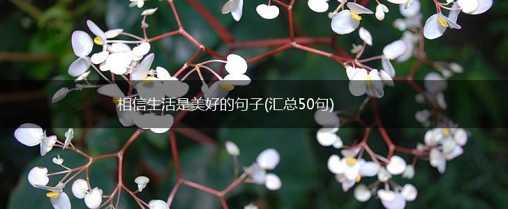 相信生活是美好的句子(汇总50句),第1张