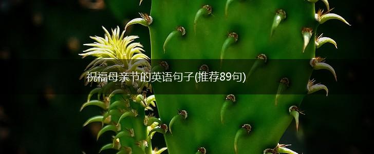 祝福母亲节的英语句子(推荐89句),第1张