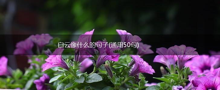 白云像什么的句子(通用50句),第1张