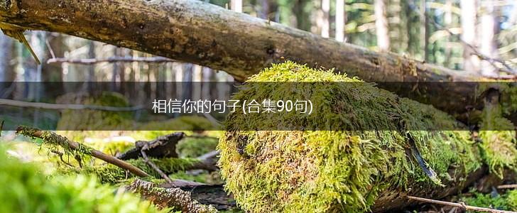 相信你的句子(合集90句),第1张