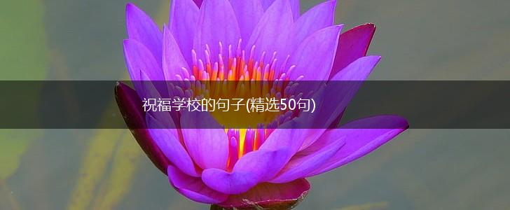 祝福学校的句子(精选50句),第1张
