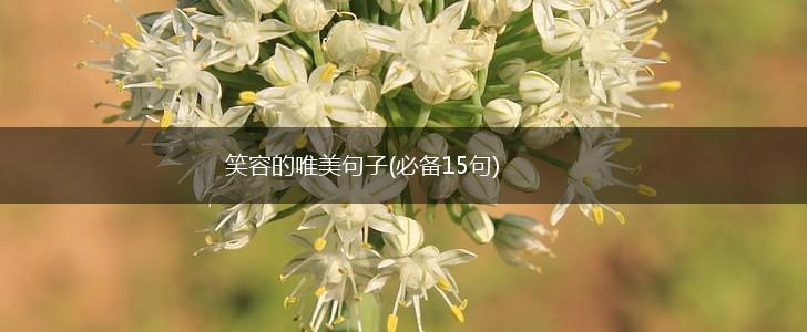 笑容的唯美句子(必备15句),第1张