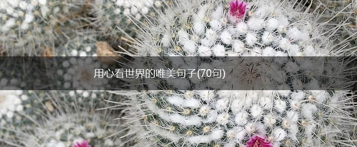 用心看世界的唯美句子(70句),第1张