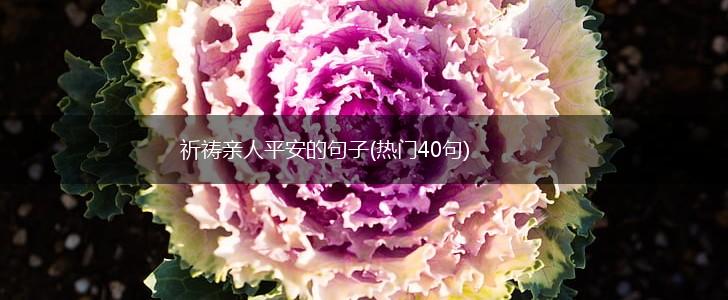 祈祷亲人平安的句子(热门40句),第1张