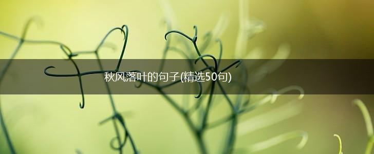 秋风落叶的句子(精选50句),第1张