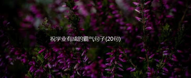 祝学业有成的霸气句子(20句),第1张