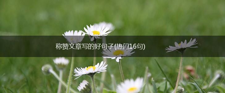 称赞文章写的好句子(热门16句),第1张
