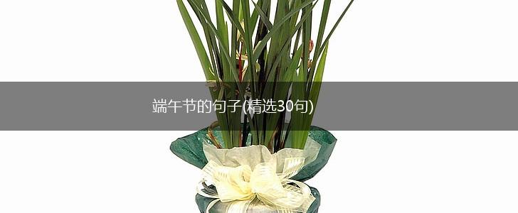 端午节的句子(精选30句),第1张