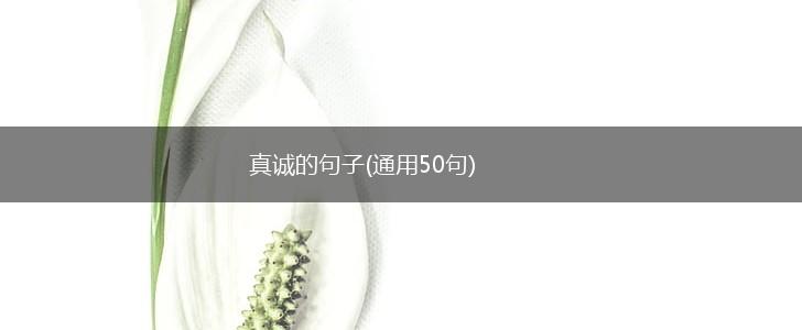 真诚的句子(通用50句),第1张