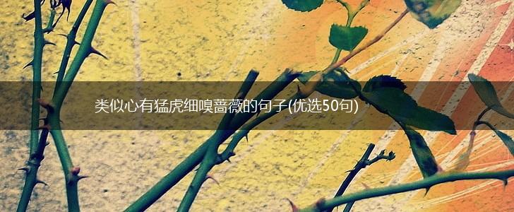 类似心有猛虎细嗅蔷薇的句子(优选50句),第1张