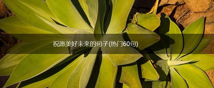 祝愿美好未来的句子(热门60句),第1张