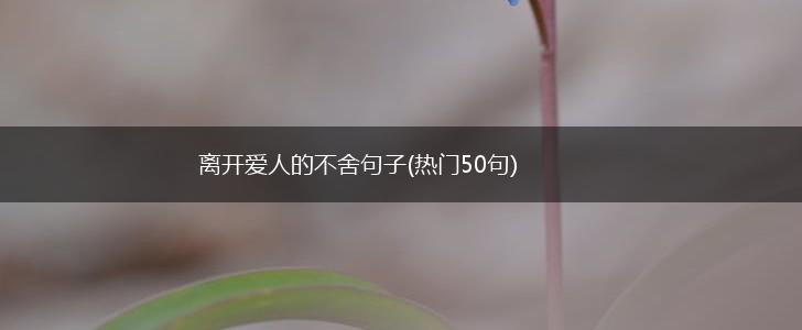 离开爱人的不舍句子(热门50句),第1张