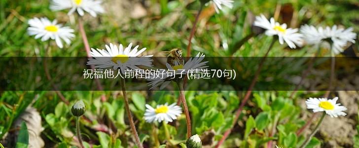 祝福他人前程的好句子(精选70句),第1张