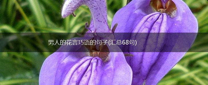 男人的花言巧语的句子(汇总68句),第1张