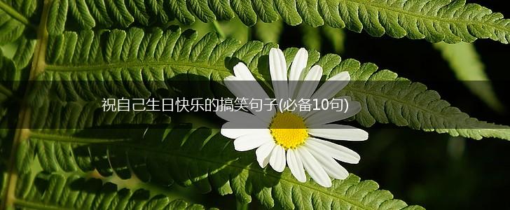 祝自己生日快乐的搞笑句子(必备10句),第1张